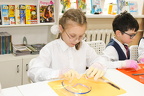 IMG 7792